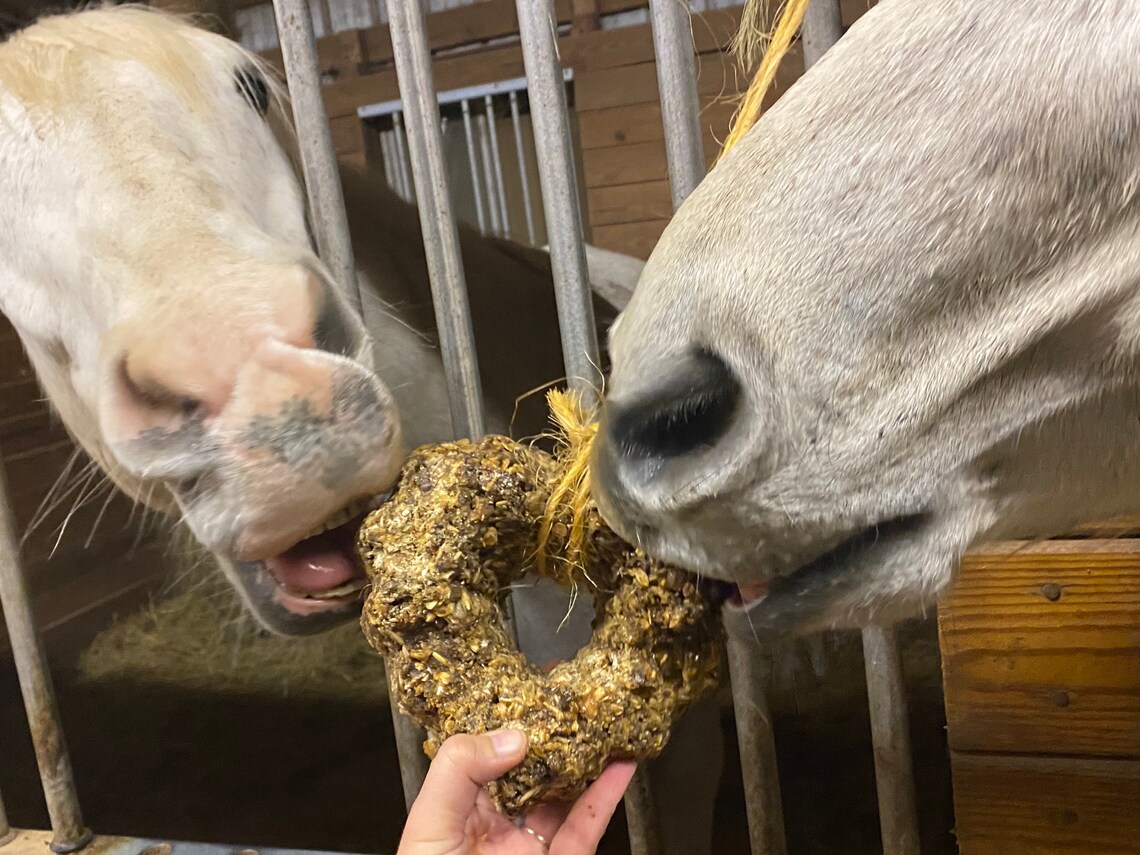 Horse Treat Ball Heart shaped. Horse Stall Treat. Treat ball. Etsy