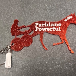 Standardbred horse. Harness horse. Custom keychain. Purse Accessory .Standardbred Racing Horse. OTTSTB