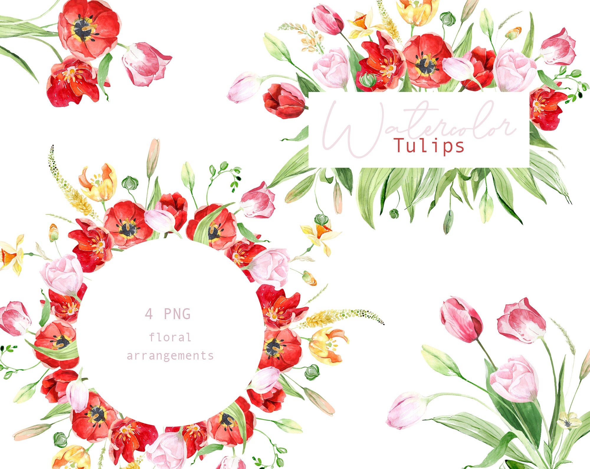 Watercolor Tulips arrangements, Spring floral clipart, Tulips frames and bouquets png, Spring Floral Clipart, Wedding invite card clipart