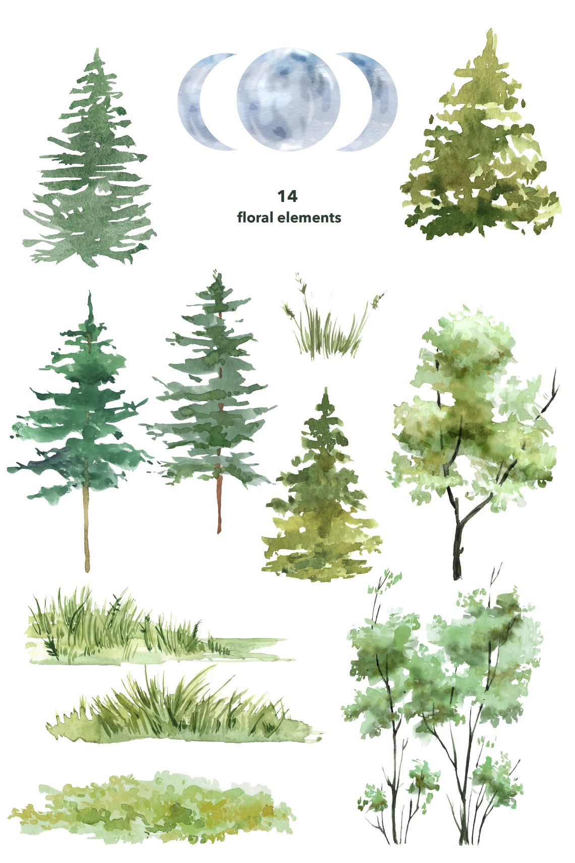 Watercolor Woodland Animals Clipart. Forest Tree Clipart. | Etsy