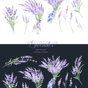 May include: Watercolor lavender bouquets and sprigs in shades of purple and green. The flowers are arranged in a variety of styles, including bouquets with blue ribbons and single sprigs. The image is set against a white background.