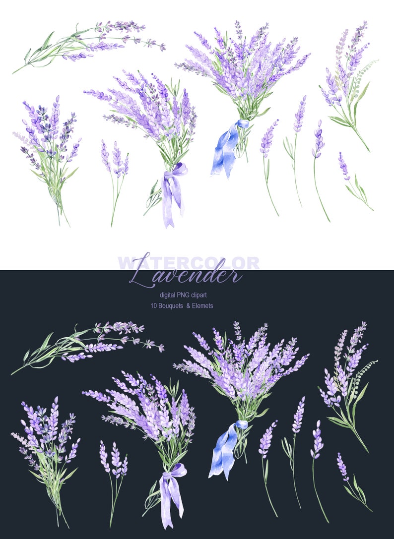 May include: Watercolor lavender bouquets and sprigs in shades of purple and green. The flowers are arranged in a variety of styles, including bouquets with blue ribbons and single sprigs. The image is set against a white background.