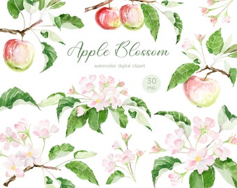 ピンクと白の水彩画のリンゴの木の花、リンゴの花のクリップアート、春の花の水彩画のクリップアート、春の結婚式のための花のpng、