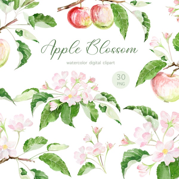 Pink and white watercolor apple tree flower, Apple blossom clipart, Spring flowers watercolor clipart, flowers png for spring wedding,