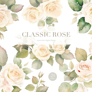 Clipart de rosas em aquarela. Flores de aquarela neutras, buquês de arranjos delicados de rosa suave creme, flores pastel de primavera verão. Casamento PNG