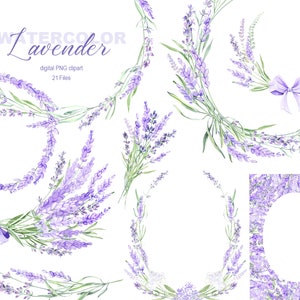 Arreglo de lavanda de acuarela, imágenes prediseñadas de flores púrpuras, ramo de lavanda provenzal pintado a mano, flor de boda lila, diseño de logotipo png
