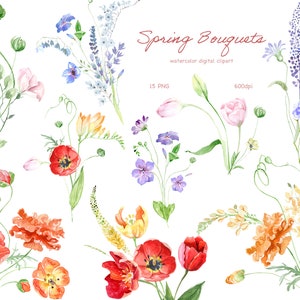 Buquês de flores pequenas de primavera em aquarela, jardim botânico, flores silvestres, prado, jardinagem, clipart de buquês botânicos, tulipas png, floral para impressão