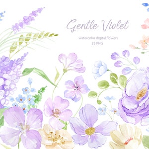 Clipart de flores violetas em aquarela, flores roxas suaves, clipart de primavera em aquarela, criação de cartão de casamento floral PNG, elementos DIY,