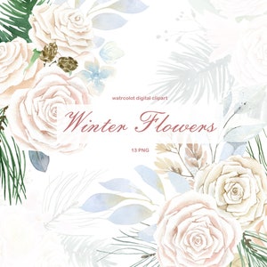 Clipart aquarela rosa de inverno. Clipart aquarela de botânicos de inverno, buquês digitais de casamento, clipart de inverno, flores românticas de casamento