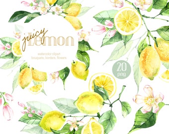 May include: Watercolor clipart of lemons, flowers, and leaves. The lemons are yellow and the flowers are pink. The text "juicy lemon" is written in a gold script font. The text "watercolor clipart bouquets, borders, flowers" is written in a smaller font below the title. The text "20 png" is written in a circle.