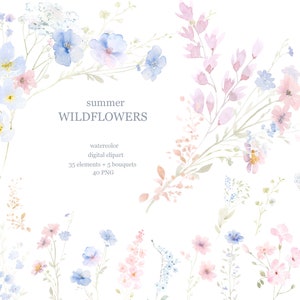 Clipart di fiori selvatici ad acquerello, fiori di prato, fiori estivi autunnali png, bouquet di fiori selvatici boho, fiori di prato rosa e blu, verde