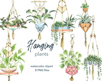 Akvarell hängande växt clipart. Gröna inomhus krukväxter clipart. Inomhusväxter clipart. Suckulent, kaktus clipart. Bröllop, planeringskonst