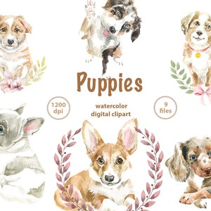 Aquarell kleines Tier Clipart. Niedliche Welpen Aquarell Clipart. Aquarell Hunde digitale Clipart. Aquarell Tiere PNG Clipart