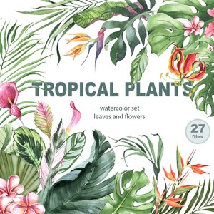 Tropisches Grün Aquarell Clipart. Banane, Monstera und Palmenblatt. Aquarell Dschungelblumen. Tropische Blätter. Druckbare tropische Kunst