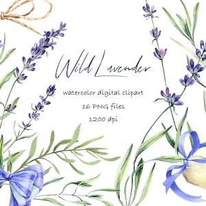 Lavender flowers, lavender watercolor clipart, purple lavender flowers, farmhouse wedding clipart, provance wedding clip art, lavender png.