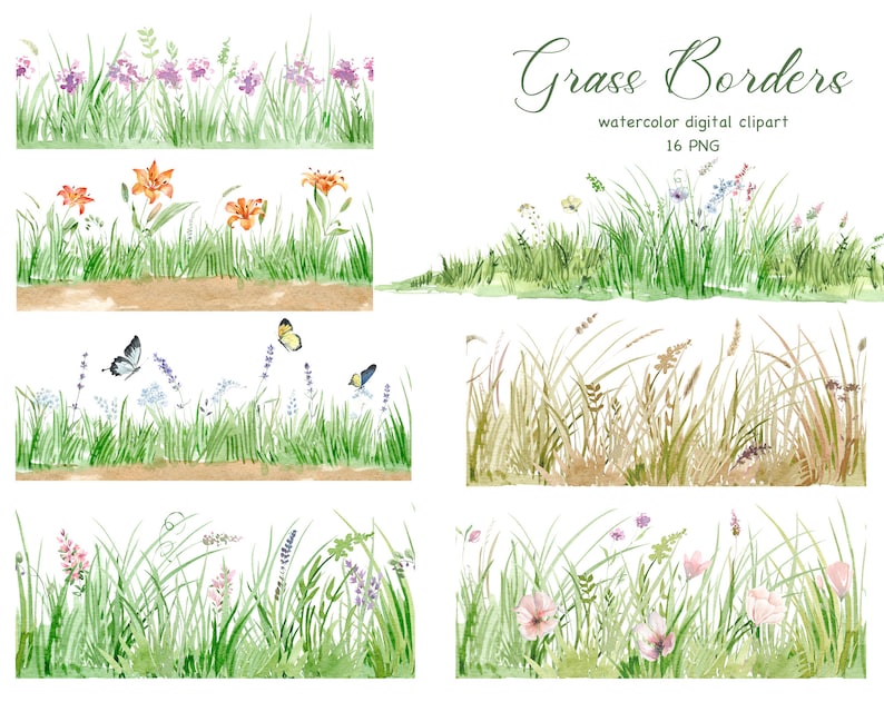 Nature clipart, wild grass clipart, grass borders seamless clipart, wild herb and meadow flowers, butterflies clipart image 1