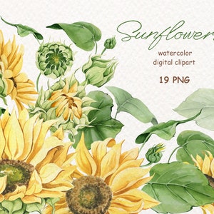 Aquarelle Tournesol PNG clipart. Fleurs jaunes peintes à la main. Fleurs de mariage bohème. Clipart floral de verdure. Arrangement de tournesols.