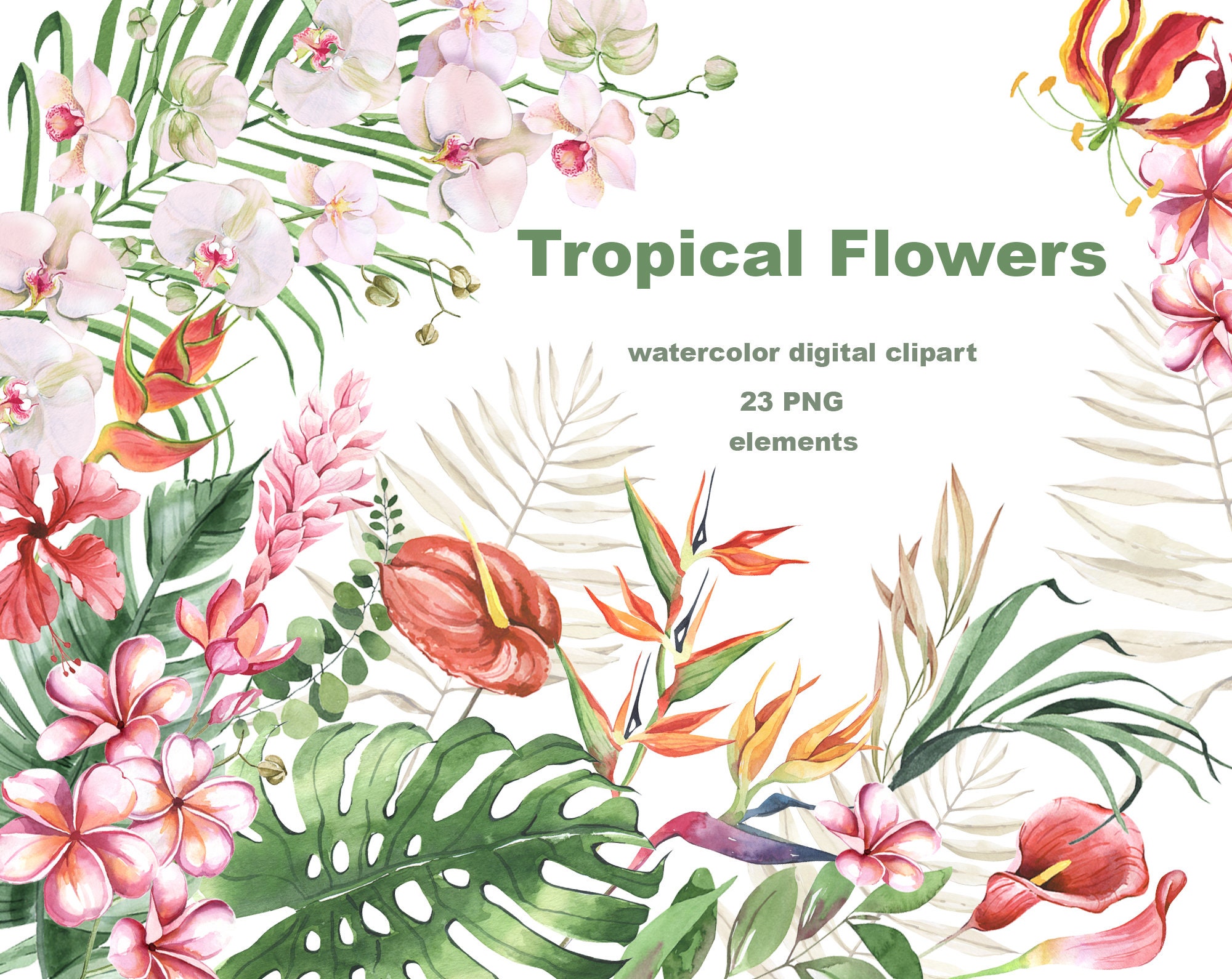 Watercolor Tropical Flower clipart. Exotic Summer flowers and leaves. Hawaii Clipart, Hibiscus, plumeria, calla flowers, Wedding Flowers