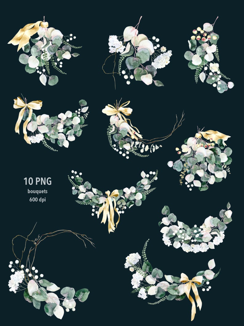 Eucalyptus PNG Clipart, Watercolor Greenery Eucalyptus, Greenery ...
