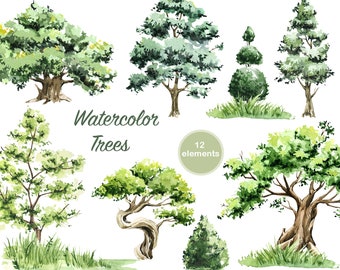 Watercolor trees clipart. oak, poplar, bush, leaf, glade. forest clipart. nature forest art, forest green trees