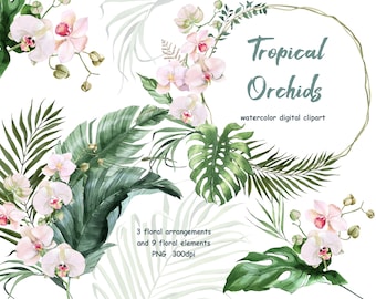 Watercolor Tropical Frame, Bouquets, floral elements. Orchid Watercolor Clipart. Orchids Floral Bouquets.Tropical Leaves, Monstera.Palm tree