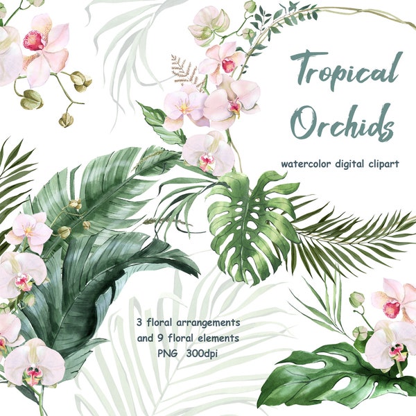 Cadre tropical aquarelle, bouquets, éléments floraux. Clipart aquarelle orchidée. Bouquets de fleurs d'orchidées. Feuilles tropicales, Monstera. Palmier