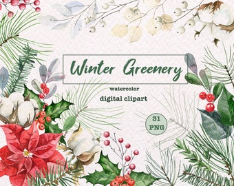 May include: Watercolor clipart set of winter greenery, including holly, pine branches, cotton, and red berries. The set includes 31 PNG files.