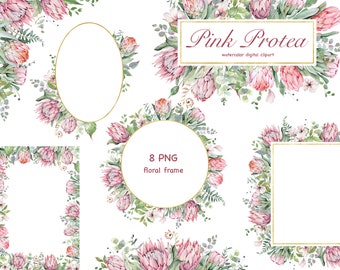 Può includere: Otto cornici floreali ad acquerello con fiori di protea rosa e verde. Le cornici sono di varie forme, tra cui cerchi, ovali e quadrati. Il testo "Pink Protea watercolor digital clipart" e "8 PNG floral frame" è incluso nell'immagine.
