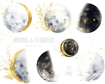 Watercolor floral moons clipart, moon phases clipart, painted moon and gold stars, gold floral clipart, moon and flowers png,