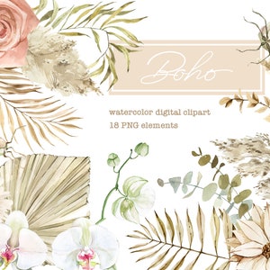 Clipart di fiori secchi Boho. Clipart di fiori tropicali. Clipart di pampa. Per creare composizioni nuziali. PNG di fiori ad acquerello. Inviti di nozze