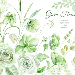 Watercolor green flowers clipart. Green roses and gardening flowers. Sage Green digital leaves art. Floral Elements PNG. wedding digital