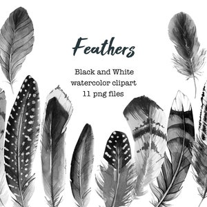 Feather clipart, watercolor feathers clipart, watercolor black and white feathers, digital feather, digital set, invitation, scrapbooking
