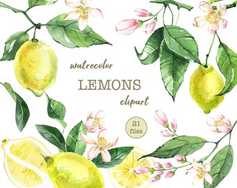 Watercolor Lemon Clipart, lemon flowers, Yellow Citrus lemon print set, Summer Fruit, Lemon Kitchen Decor, Citrus Wedding decor