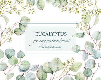 Watercolor eucalyptus clipart, greenery clipart, foliage, wedding greenery clipart, green leaves, digital png