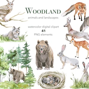 Clipart de animales del bosque en acuarela. Ilustración de animales lindos, clipart de pinos del bosque. Animales PNG, ciervo, oso, zorro, búho y lobo en acuarela.