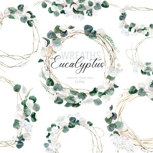 Watercolor eucalyptus wreath clipart, eucalyptus PNG greenery clipart, wedding green wreath, botanical wreath, green leaves,