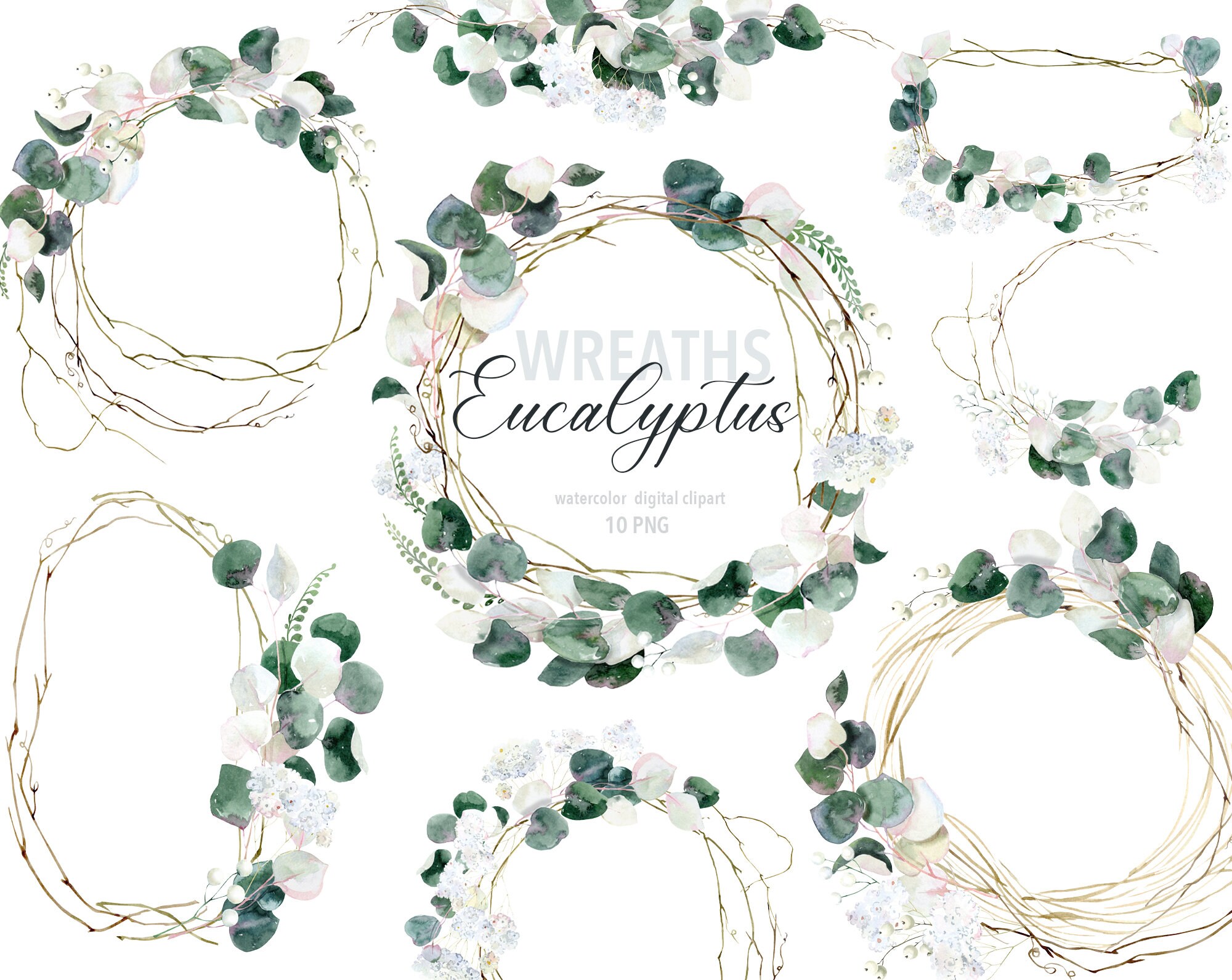 Watercolor Eucalyptus Wreath Clipart, Eucalyptus PNG Greenery Clipart ...