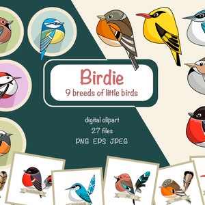Kleine Vogel Digitale Clipart. PNG Set van kleine vogels. Gaai. Veldleeuwerik. Vink. Goudvink. Wielewaal. Stickerpakket. DIY. Clipart voor digitaal afdrukken