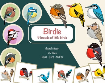 Small Bird Digital Clipart. PNG Set of Tiny birds. Jay. Skylark. Finch. Bullfinch. Oriole. Sticker pack. DIY. Digital printing clipart
