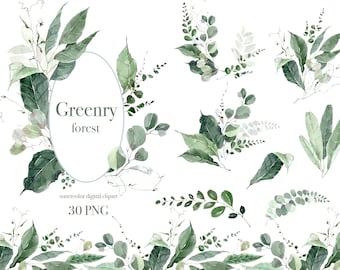 Aquarel groen PNG clipart, lentegroen aquarel arrangementen, groene bladeren, eucalyptus grenskrans, bosgroen boeketten.