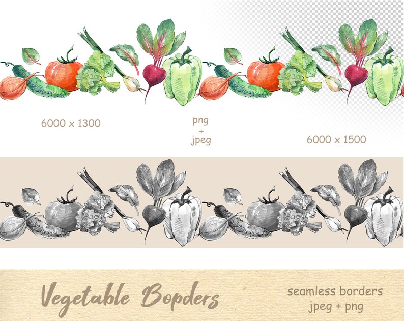 Watercolor Vegetable Clipart, Seamless Border, Fall Veggies Arrangement ...