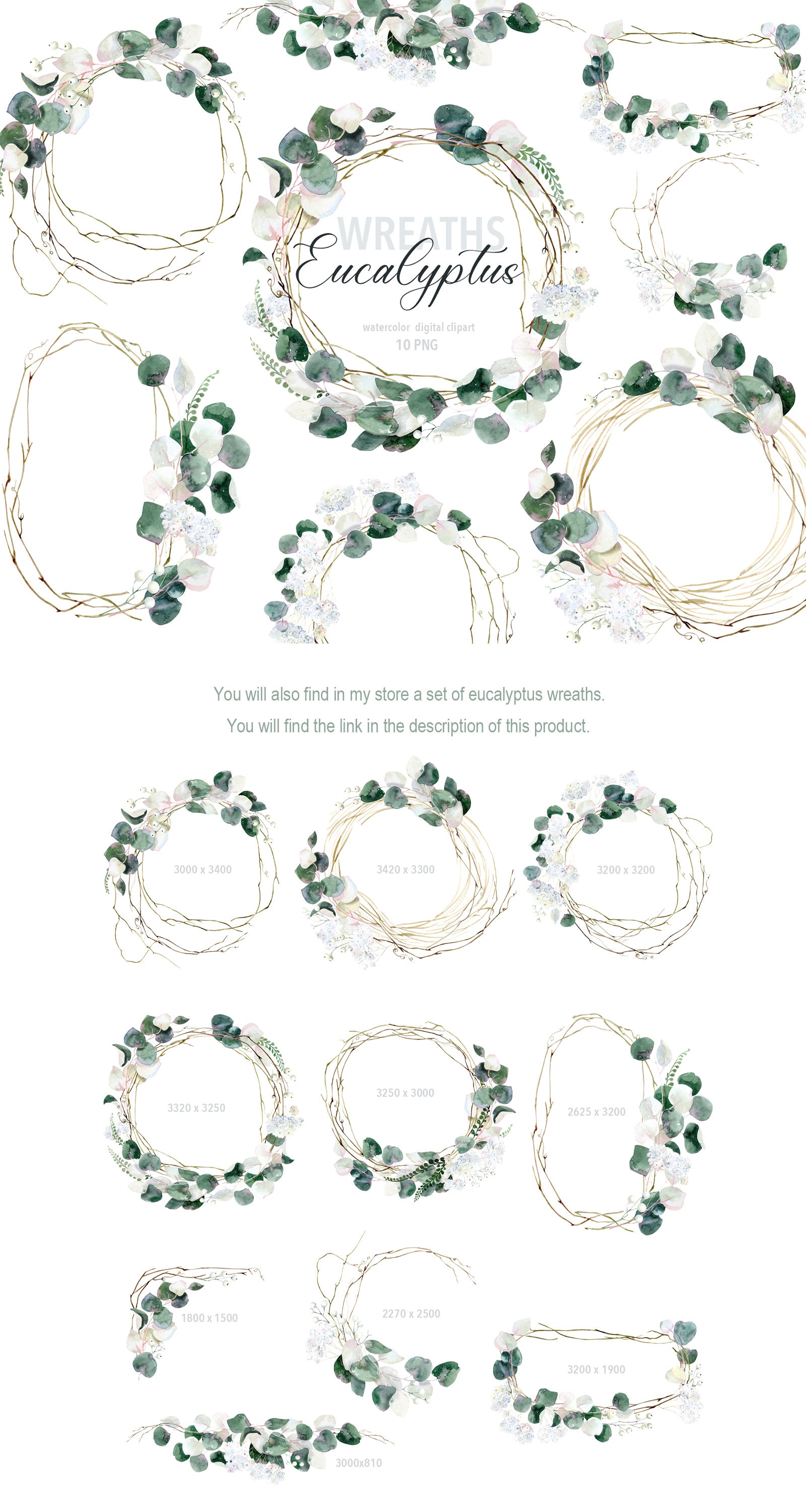 Eucalyptus PNG Clipart, Watercolor Greenery Eucalyptus, Greenery ...