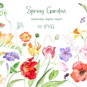 Aquarell Frühlingsblumen Clipart, Wiesen - und Gartenblumen, Mohnblume, Tulpen, Freesie, Wilde Blume PNG, Aquarell Blume PNG, Frühlingsblüte