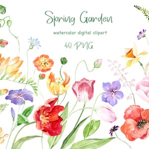 Watercolor Spring Floral Clipart, meadow and garden flowers, poppy, tulips, freesia, Wild flower PNG, Watercolor flower PNG, spring blossom