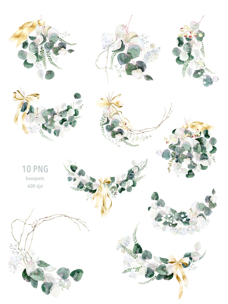 Eucalyptus PNG Clipart, Watercolor Greenery Eucalyptus, Greenery ...