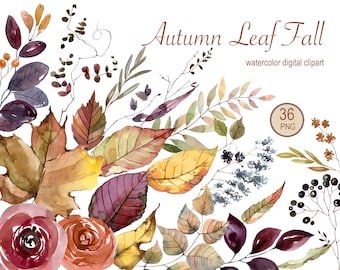 Op de afbeelding: Waterverf clipart met 36 herfstbladeren, takken en bessen in tinten rood, oranje, geel, bruin, paars en blauw. De afbeelding is gelabeld "Autumn Leaf Fall watercolor digital clipart".