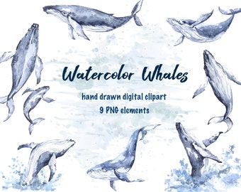 May include: Watercolor illustration of nine blue whales in various poses, with a white background and blue watercolor splatters. The text "Watercolor Whales" and "hand drawn digital clipart" is included in the image.