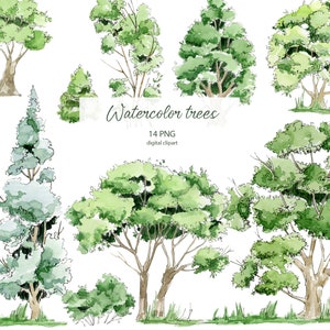 Aquarelle arbres verts clipart, clipart arbre coloré pour la fabrication de cartes, art botanique, forêt Png, clipart jardin d'été, arbre PNG