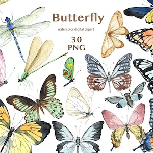 Watercolor butterflies PNG clipart, Pink yellow lilac butterflies, Tropical Butterflies, Printable Wall Art clipart, Butterfly Illustrations
