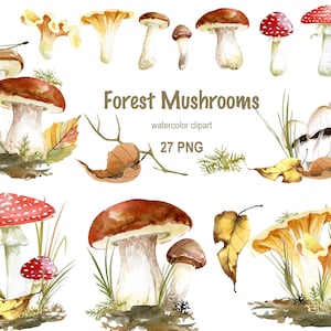 Aquarelle champignons forestiers et feuilles clipart, feuilles d’automne, Thanksgiving Day, composition de champignons, clipart forêt d’automne, mariage rustique